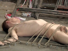 Брюнет присел жопой на лицо связанного парня и отсосал его член